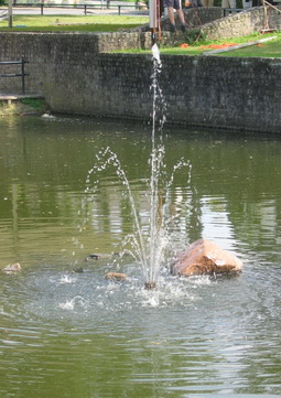Brandvijver Oldenzaal fontein